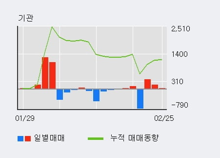 '형지엘리트' 5% 이상 상승, 기관 3일 연속 순매수(575주)