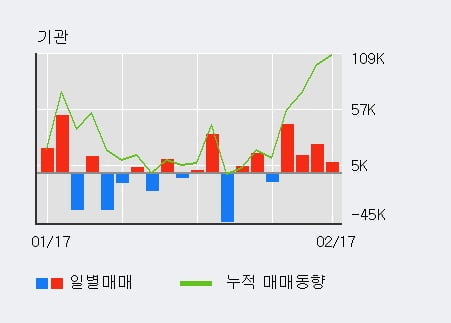 'SKC코오롱PI' 52주 신고가 경신, 최근 3일간 기관 대량 순매수