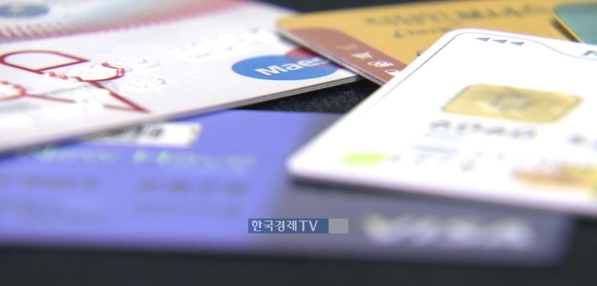 가맹점 수수료 인하에도 실적 선방한 카드사