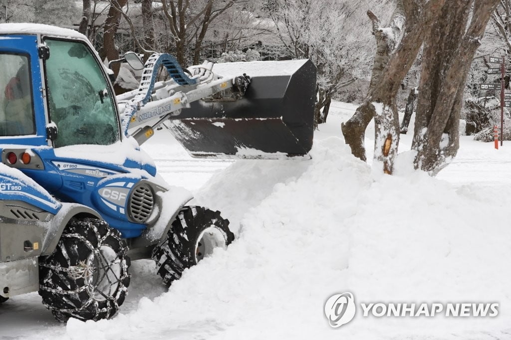 제주 `마비`...64.8㎝ 한라산 폭설, 항공편 결항·지연도