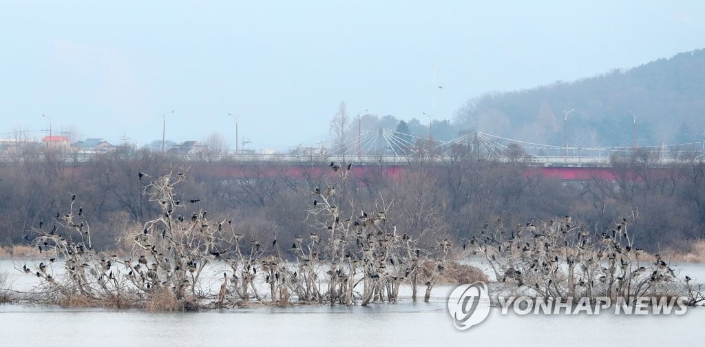 [날씨] 내일 `우수` 낮부터 포근…미세먼지도 `좋음`