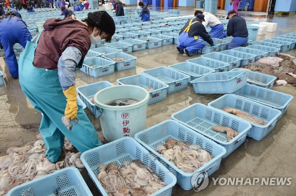 日각료, 수산물 수입금지 한국에 "그쪽보다 깨끗해" 비난