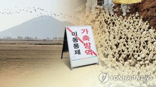 베트남 5개 지역서 조류 인플루엔자 발생