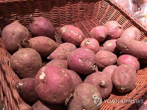 냉동고구마도 부가세 면제…전세 간주임대료 산정 이자율 인하
