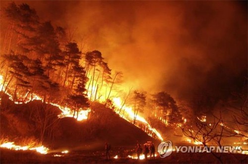 설악산 오색∼대청봉 등 103개 탐방로 15일부터 3개월간 통제