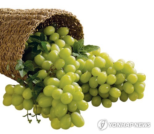 K-과일 신남방 순풍…샤인머스켓 베트남선 고급 제수음식