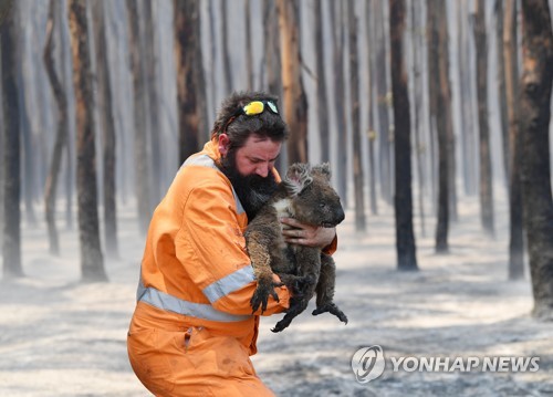 "호주 산불은 환경 테러"…의회서 방화설 진위 수사 촉구