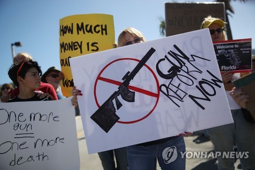 미국 11살 소녀, 공격용 소총 매고 총기법 공청회 참석
