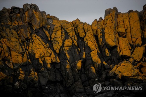 뜨거워지는 지구…남극대륙서 사상 최초로 영상 20도 기록