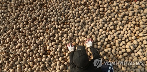 코로나19 확산에 강원 농가 외국인 계절근로자 수급 차질 우려