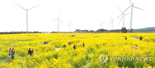 제주, 신재생에너지 발전시설·야간·해안·문화 경관 재정비