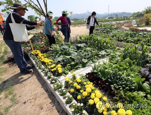 울산시 도시농업사업 추진…도시 텃밭 운영·인력 양성