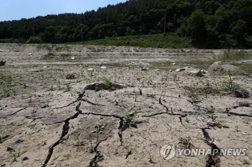 '국가 가뭄정보 통계' 공개…관계부처 자료 취합해 한눈에