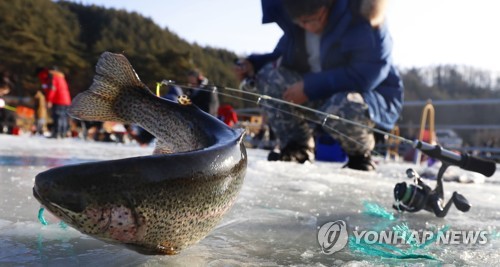 제13회 평창송어축제 폐막…45만여 명 방문