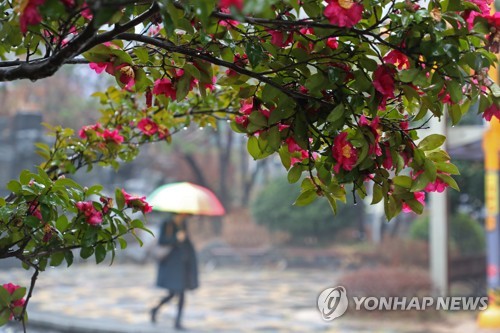 광주·전남, 47년 만에 가장 따뜻하고 눈 소식 없었던 1월
