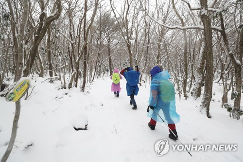 한라산서 40대 등반객 쓰러져…해경헬기로 병원 이송