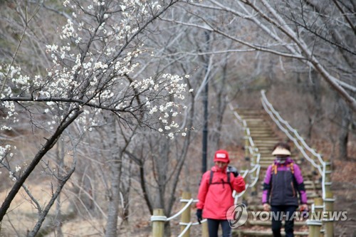 다음 주 기온 쑥 오르고 포근…올겨울 한파 사실상 끝