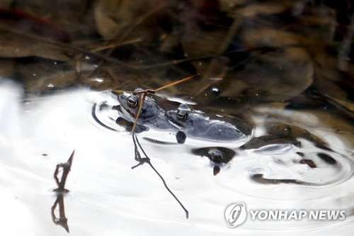 [날씨] 동장군과 함께 온 입춘…오후부터 곳곳에서 눈·비