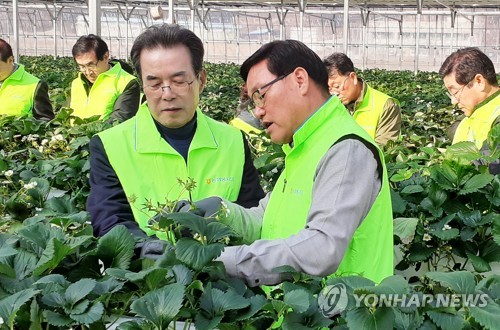 이성희 신임 농협회장, 홍천 농가 봉사활동으로 첫 공식 일정