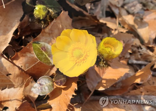 [내주날씨] 평년보다 포근…수요일 전국 비