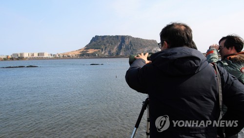 국토부, 제주2공항 주변 조류 추가조사…전략환경영향평가 보완