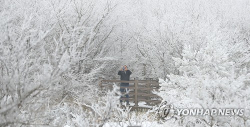 제주 일요일부터 막바지 강추위…산지 최고 20㎝ 눈