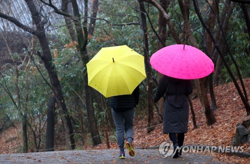 '눈 대신 비' 올겨울 서울 1937년 이래 최소 적설량 기록할듯