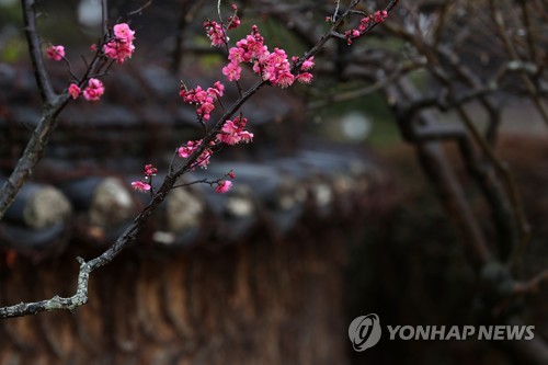 [날씨] 화요일 전국 흐리고 비…봄처럼 따뜻한 날씨