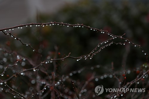 [내일 날씨] 절기상 '우수'…대체로 맑고 포근