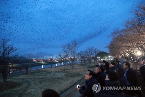 울산전담여행사 10곳 지정…지역 관광상품 개발 앞장