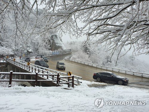 강원 중북부 산지 대설경보…홍천 구룡령 14.6㎝ '펑펑'