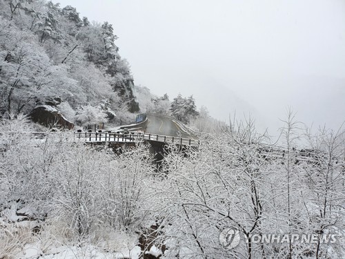 강원 산지·내륙 대설특보 확대…철원 대설경보(종합)