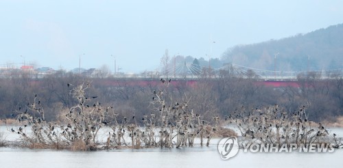 [날씨] 내일 낮부터 추위 풀려…미세먼지 '좋음'∼'보통'