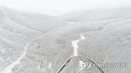 제주도 전역 낮 12시 강풍주의보 해제…해상 풍랑주의보 발효중