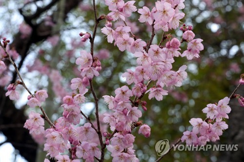 낮 최고 16도, 포근한 수요일…대기도 대체로 청정