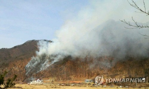 춘천 남산면 산불 1시간 만에 진화…1천㎡ 소실(종합)