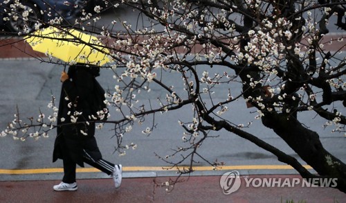 [날씨] 금요일 낮부터 전국에 비…강원 산지는 많은 눈