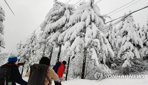 강원 산지·동해안에 눈 또는 비…미시령 16.5㎝ 적설