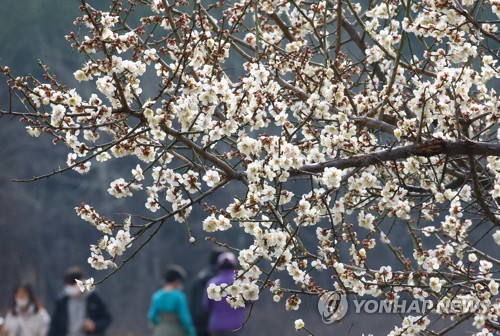 [날씨] 목요일 전국 대체로 맑음…강원 영동 아침까지 눈