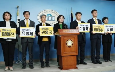 심상정, TK 정조준…"기득권 정치 교체" 9명 출마 선언