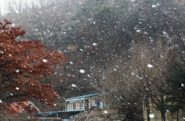 오늘 밤부터 비 소식이 전해진 가운데 내일 눈 소식과 함께 강추위가 예보됐다. /사진=연합뉴스