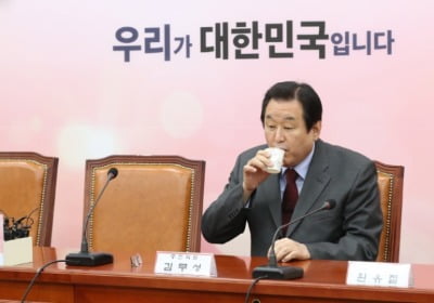 부산 공천 갈등 수면 아래로…김무성 "이언주 훌륭한 자산"