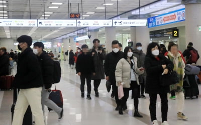 제주도, 대구 항공편 운항 일시 중단 추진