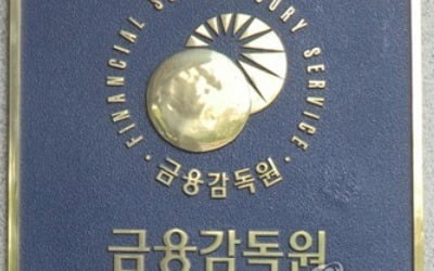 금감원 "손태승 회장 거취, 이사회가 책임있는 판단 기대"