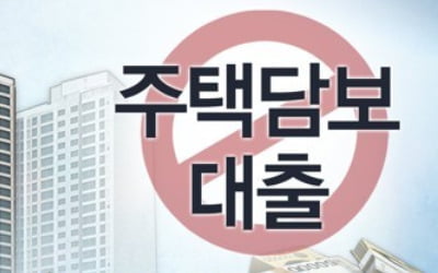 서울 아파트 절반 'LTV 20%·DSR 40%' 대출규제 걸렸다