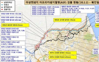 파주·연천·화천서 야생멧돼지 ASF 10건 추가 확진…총 148건