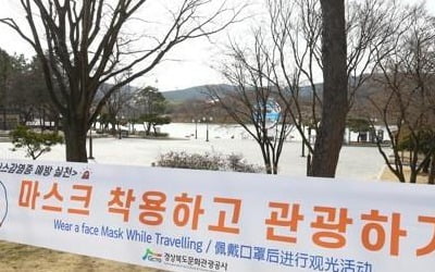 신종코로나 경북 휴양·관광지 직격탄…관광객 55% 감소