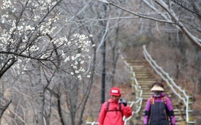 다음 주 기온 쑥 오르고 포근…올겨울 한파 사실상 끝