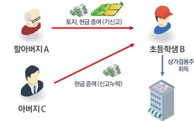 초등 1학년생, 아빠·할아버지 돈으로 수십억 상가주택 사들여