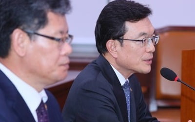 외교차관 "한국발 입국제한 확대않도록 노력…내일 각국에 설명"